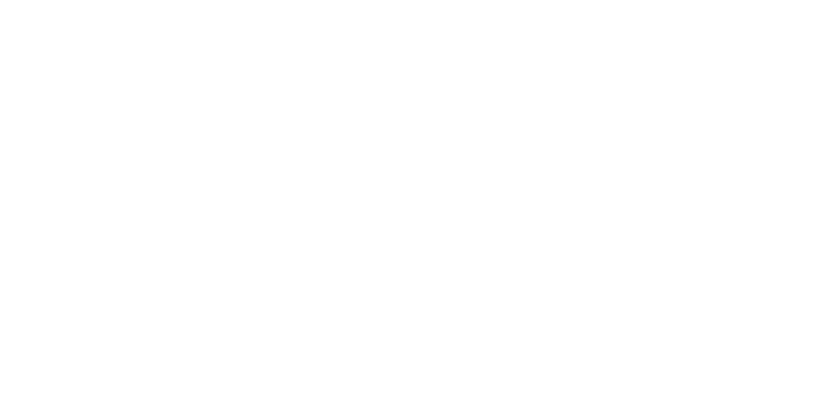Singularity Brazil