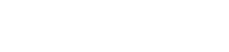 HSM